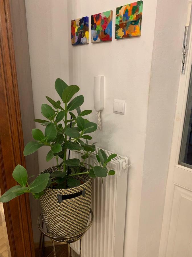 Charming In The Heart Of The Jewish District! Apartmán *